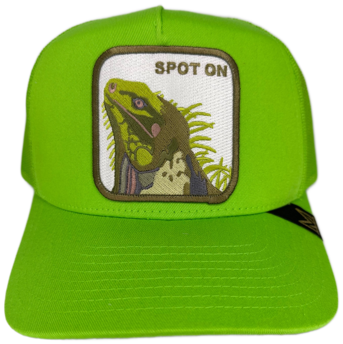 Passenger Escapism Snapback Trucker Cap in Green for Men