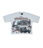 STRAY  CROPPED TOP - ST1384 - LT.GREY