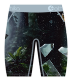 ETHIKA BOXER BRIEFS Shatter Cat (MFAAAI2513