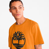TIMBERLAND T-SHIRT  - TB0A2C2RP47 - WHEAT