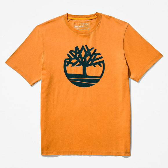 TIMBERLAND T-SHIRT  - TB0A2C2RP47 - WHEAT