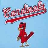 KIDS PRO STANDARD ST.LOUIS CARDINALS - BABY BLUE