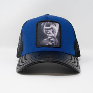 GOLDSTAR TRUCKER HAT - GS158 - ROYAL/BLK