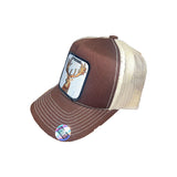 HEAD 2 HEAD HAT - TS276 - BRN/STN